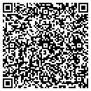 QR code with Pro Systems Corp contacts