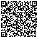 QR code with Avnit contacts