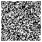 QR code with Providian Consulting LLC contacts
