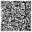 QR code with Production Analysis contacts