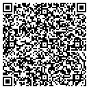 QR code with Precision Electronics contacts