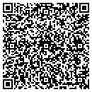 QR code with Pro Systems Corp contacts