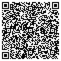 QR code with N8's contacts