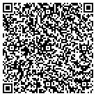 QR code with Public Safety Systems Inc contacts