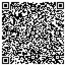 QR code with Canutes Consulting Inc contacts