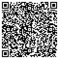 QR code with Witte contacts