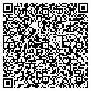QR code with Preciseadvice contacts