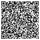 QR code with Carroll Station Inc contacts