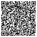 QR code with FNS Inc contacts