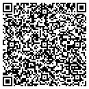 QR code with Cedarvision Inc Catv contacts