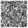 QR code with Paddock contacts