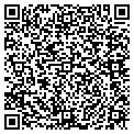 QR code with Tilly's contacts