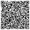 QR code with Pulse Finders contacts