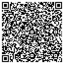 QR code with Precision Collision contacts