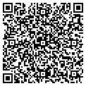 QR code with Cellar contacts