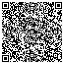 QR code with Cetac Technologies contacts