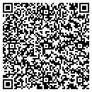 QR code with Pre Viewed Autos contacts
