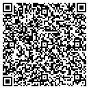 QR code with Prizm Edge Consulting contacts