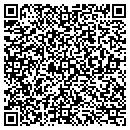 QR code with Professional Forms Inc contacts