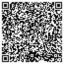 QR code with Blue Mine Group contacts