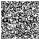 QR code with Primus Consulting contacts