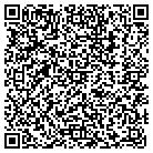 QR code with Pulver Radiant Heating contacts