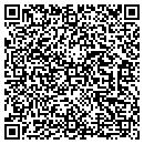 QR code with Borg Dairy Farm Inc contacts