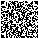 QR code with Pueblo Chemical contacts