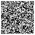 QR code with Auntie contacts