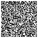 QR code with Precise Ice Inc contacts