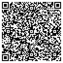 QR code with Chapman Village Hall contacts
