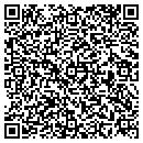 QR code with Bayne Tree & Painting contacts