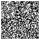 QR code with Professional Design contacts