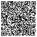 QR code with Systek contacts