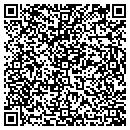QR code with Costa's Styling Salon contacts