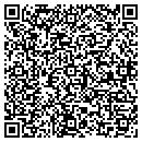 QR code with Blue Valley Builders contacts