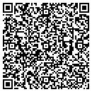QR code with Public Image contacts