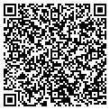 QR code with NAIFA-Ne contacts