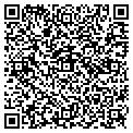 QR code with Alltel contacts