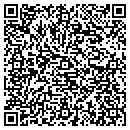 QR code with Pro Team Designs contacts