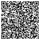 QR code with Pretty Good Solutions contacts
