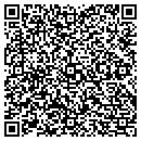 QR code with Professional Solutions contacts