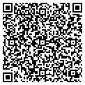 QR code with Intima contacts