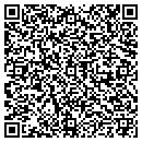 QR code with Cubs Distributing Inc contacts