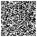 QR code with C D Sign Design contacts