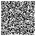 QR code with Protub contacts