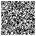 QR code with Shell contacts