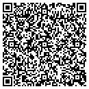 QR code with Printer Store contacts