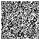 QR code with Premier Telecom contacts