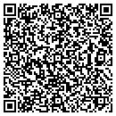 QR code with Premiere Counter Tops contacts
